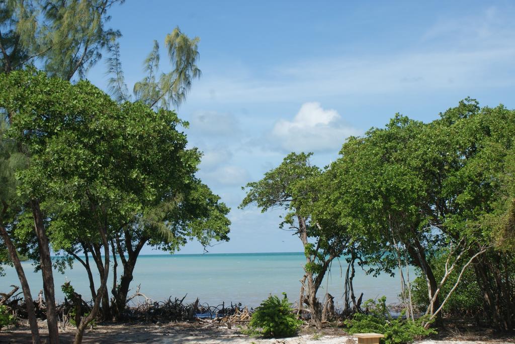 Bonita'S Apartment Caye Caulker Bilik gambar